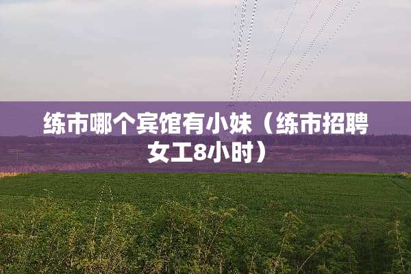 练市哪个宾馆有小妹（练市招聘女工8小时）