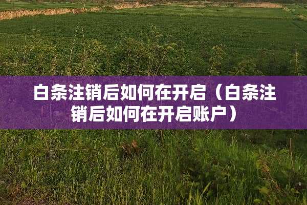 白条注销后如何在开启（白条注销后如何在开启账户）