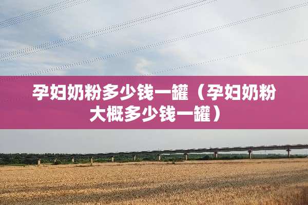 孕妇奶粉多少钱一罐（孕妇奶粉大概多少钱一罐）