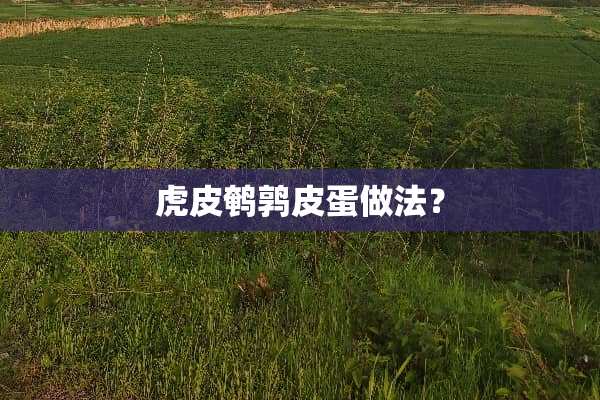 虎皮鹌鹑皮蛋做法？