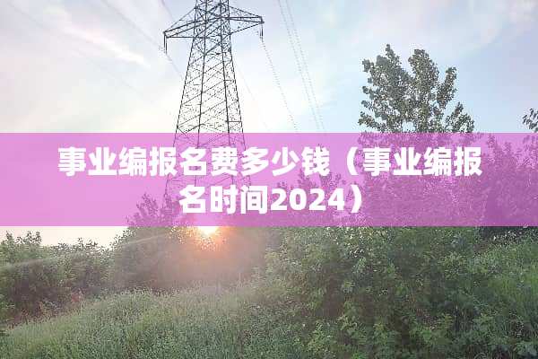 事业编报名费多少钱（事业编报名时间2024）
