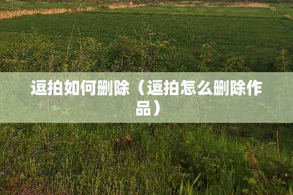 逗拍如何删除（逗拍怎么删除作品）