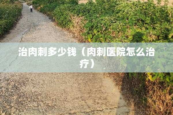 治肉刺多少钱（肉刺医院怎么治疗）