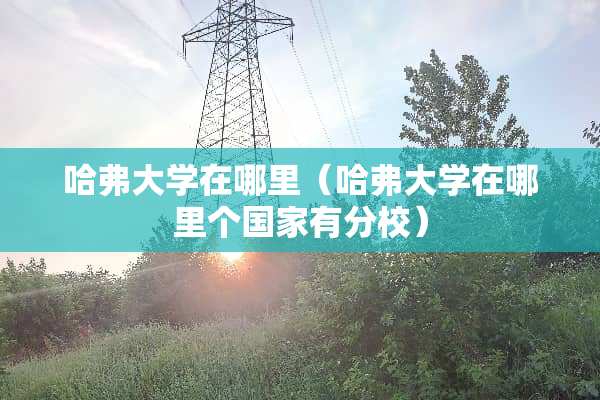 哈弗大学在哪里（哈弗大学在哪里个国家有分校）