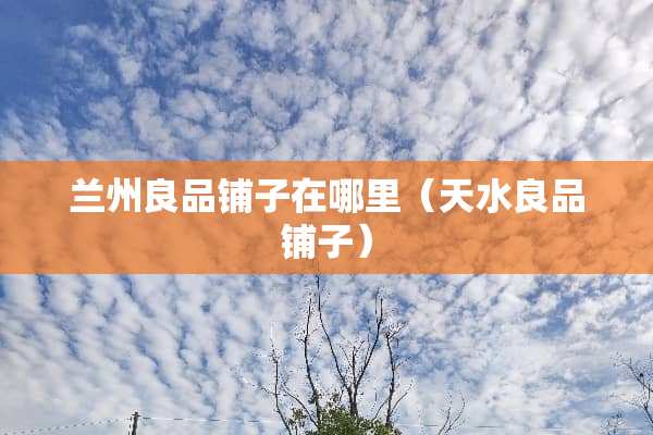 兰州良品铺子在哪里（天水良品铺子）