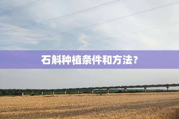 石斛种植条件和方法？