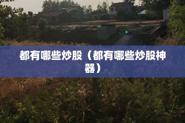 都有哪些炒股（都有哪些炒股神器）