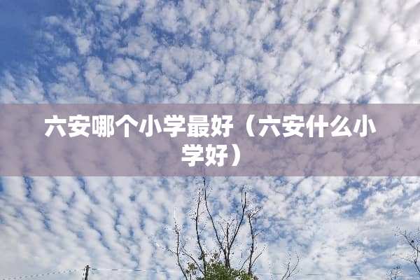 六安哪个小学最好（六安什么小学好）