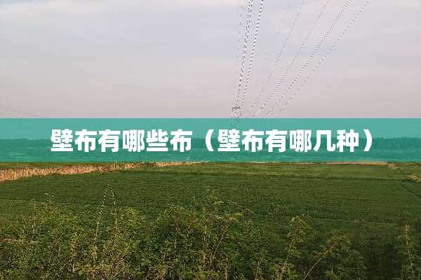 壁布有哪些布（壁布有哪几种）