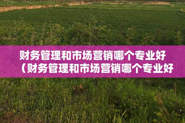 财务管理和市场营销哪个专业好（财务管理和市场营销哪个专业好考公务员）