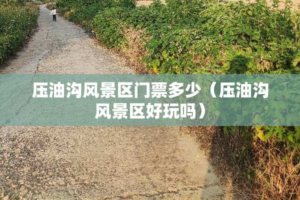 压油沟风景区门票多少（压油沟风景区好玩吗）