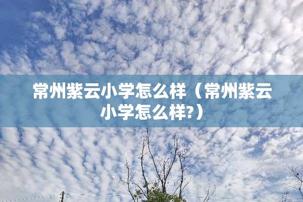 常州紫云小学怎么样（常州紫云小学怎么样?）
