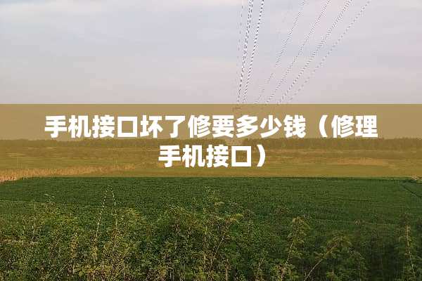手机接口坏了修要多少钱（修理手机接口）
