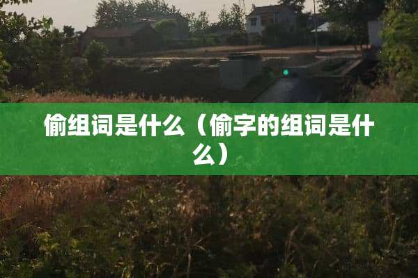 偷组词是什么（偷字的组词是什么）