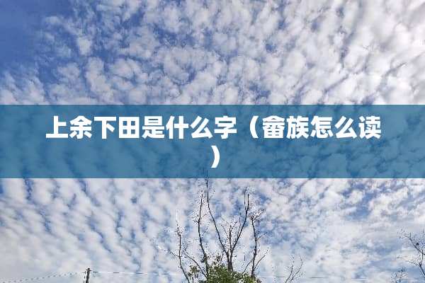 上余下田是什么字（畲族怎么读）