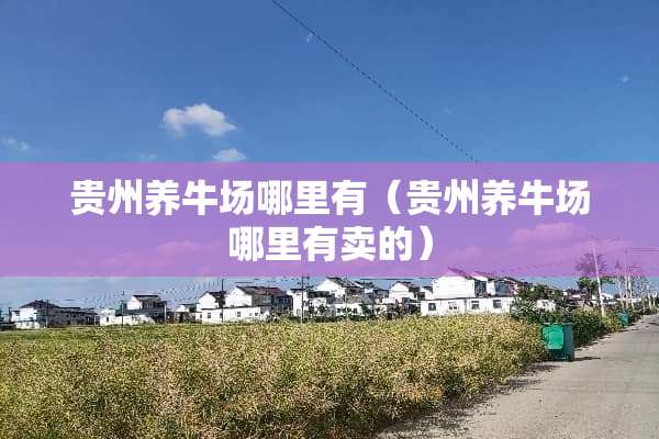 贵州养牛场哪里有（贵州养牛场哪里有卖的）