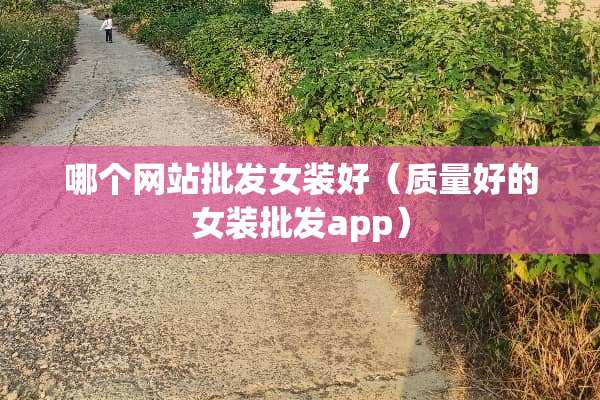 哪个网站批发女装好（质量好的女装批发app）