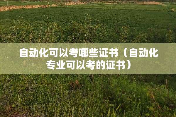 自动化可以考哪些证书（自动化专业可以考的证书）