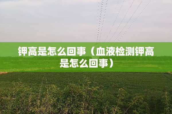 钾高是怎么回事（血液检测钾高是怎么回事）
