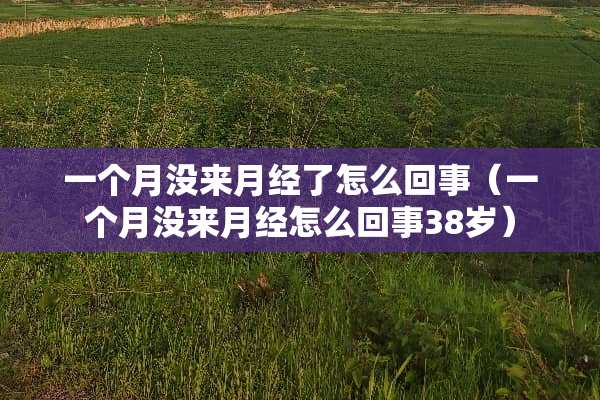 一个月没来月经了怎么回事（一个月没来月经怎么回事38岁）