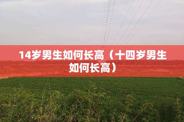14岁男生如何长高（十四岁男生如何长高）