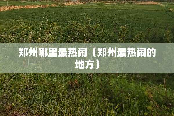 郑州哪里最热闹（郑州最热闹的地方）