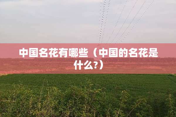 中国名花有哪些（中国的名花是什么?）