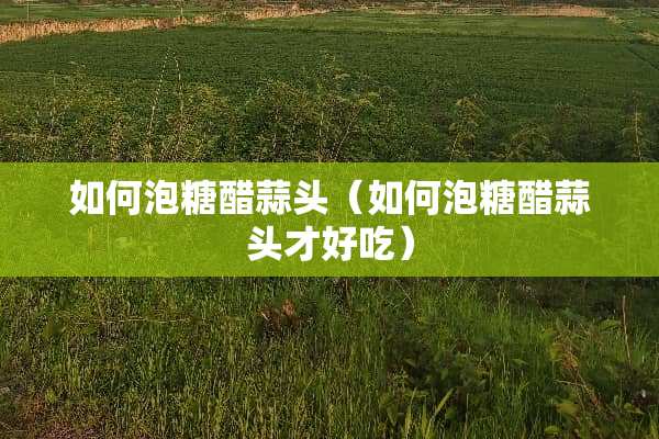 如何泡糖醋蒜头（如何泡糖醋蒜头才好吃）