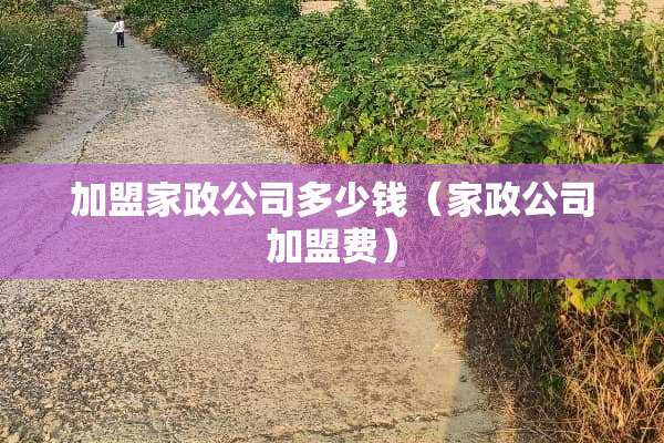 加盟家政公司多少钱（家政公司加盟费）