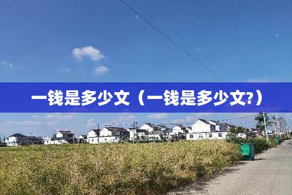 一钱是多少文（一钱是多少文?）