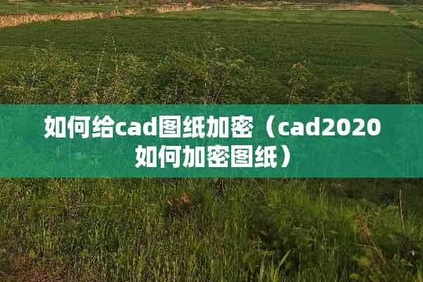 如何给cad图纸加密（cad2020如何加密图纸）