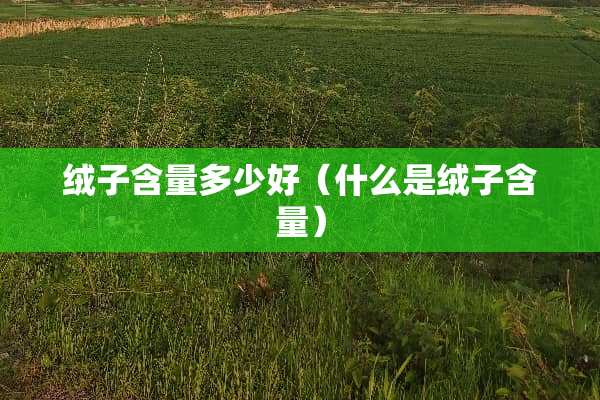 绒子含量多少好（什么是绒子含量）