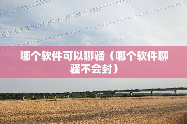 哪个软件可以聊*（哪个软件聊*不会封）