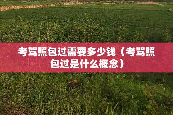 考驾照**需要多少钱（考驾照**是什么概念）