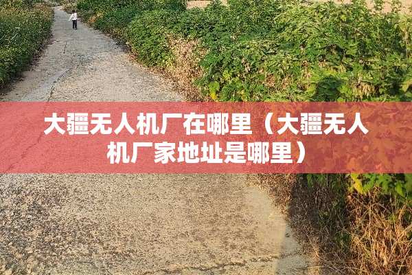 大疆无人机厂在哪里（大疆无人机厂家地址是哪里）