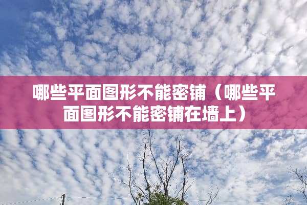 哪些平面图形不能密铺（哪些平面图形不能密铺在墙上）