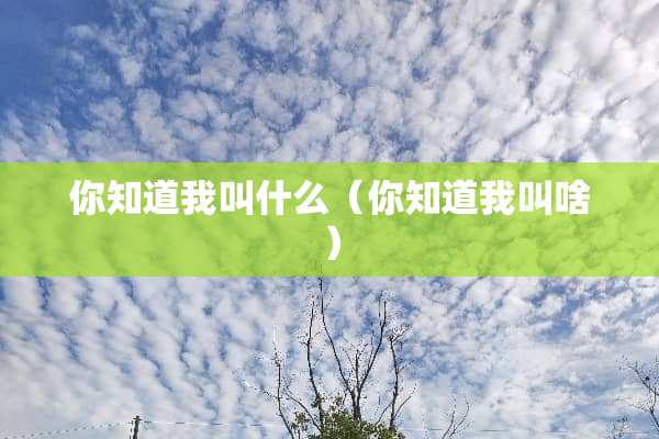 你知道我叫什么（你知道我叫啥）