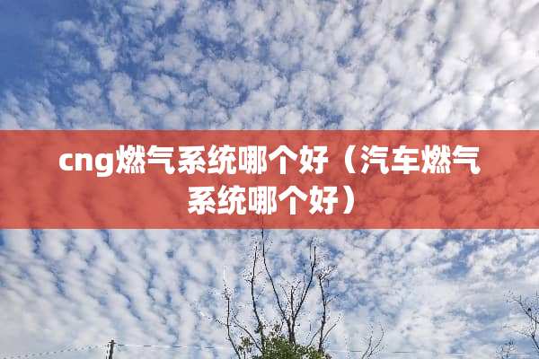 cng燃气系统哪个好（汽车燃气系统哪个好）