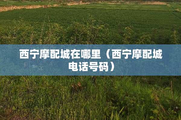 西宁摩配城在哪里（西宁摩配城电话号码）