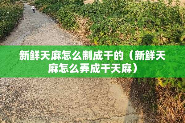 新鲜天麻怎么制成干的（新鲜天麻怎么弄成干天麻）