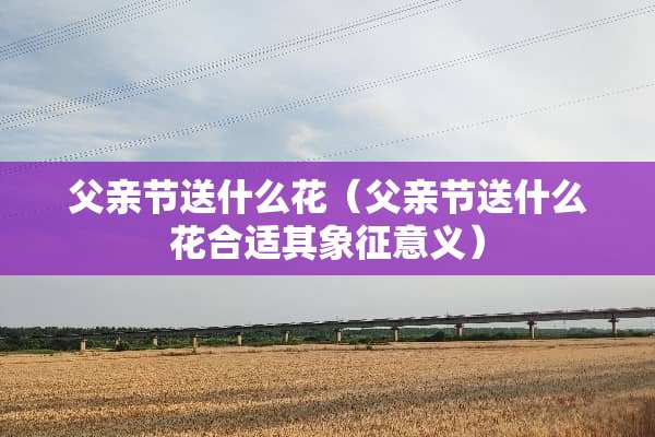父亲节送什么花（父亲节送什么花合适其象征意义）