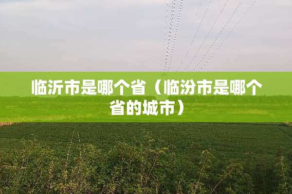 临沂市是哪个省（临汾市是哪个省的城市）