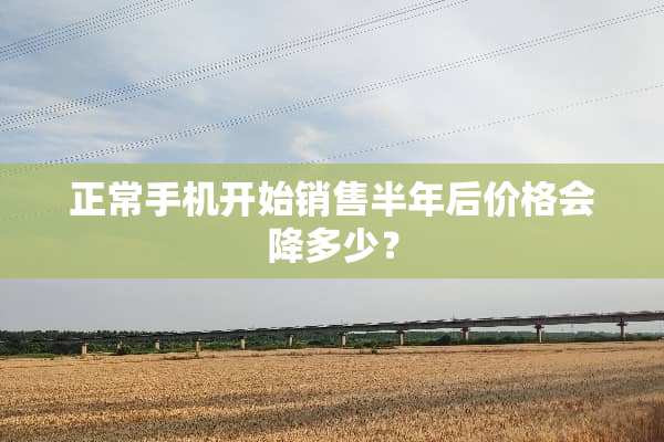 正常手机开始销售半年后价格会降多少？