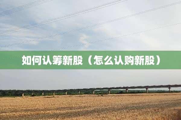 如何认筹新股（怎么认购新股）