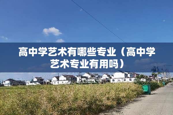 高中学艺术有哪些专业（高中学艺术专业有用吗）