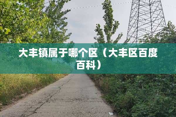 大丰镇属于哪个区（大丰区百度百科）