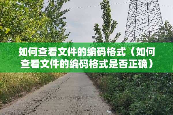 如何查看文件的编码格式（如何查看文件的编码格式是否正确）
