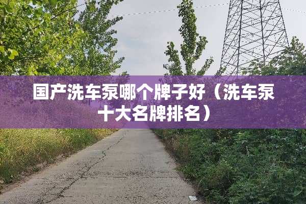 国产洗车泵哪个牌子好（洗车泵十大名牌排名）