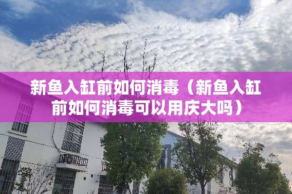 新鱼入缸前如何消毒（新鱼入缸前如何消毒可以用庆大吗）