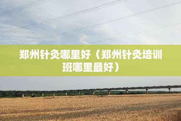 郑州针灸哪里好（郑州针灸培训班哪里最好）